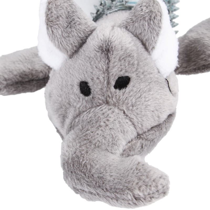 Toothbrush, Chew Toy for Dogs