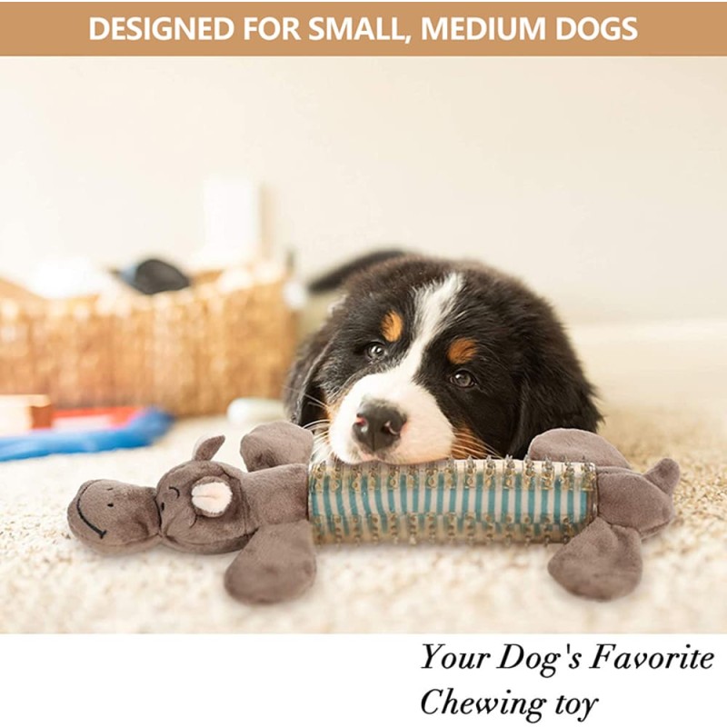 Toothbrush, Chew Toy for Dogs