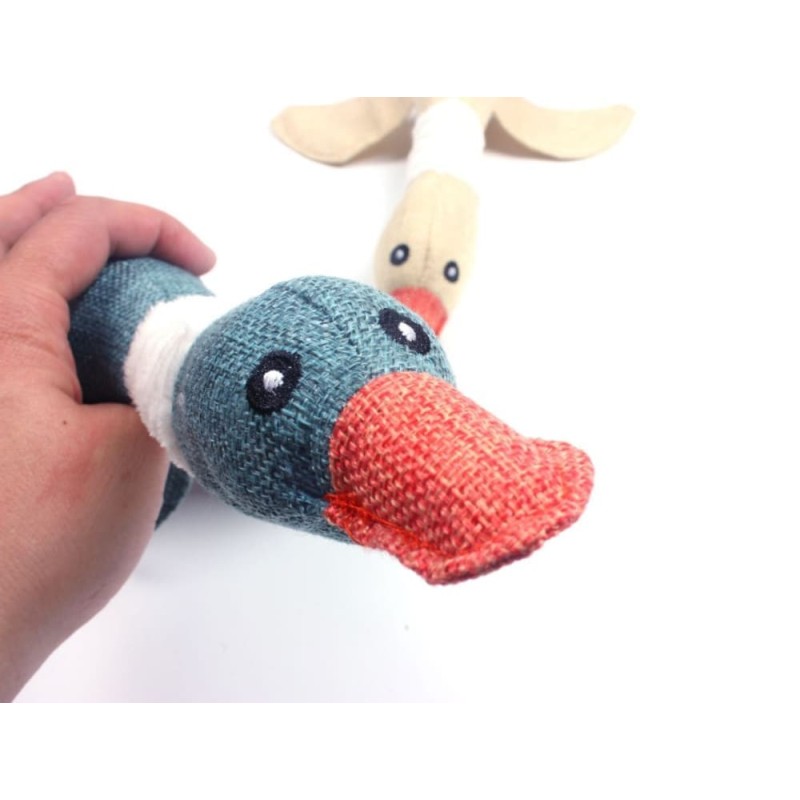 Toy Dog Squeak Wild Goose Sounds, Cleaning Teeth